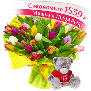 31 тюльпан + мишка