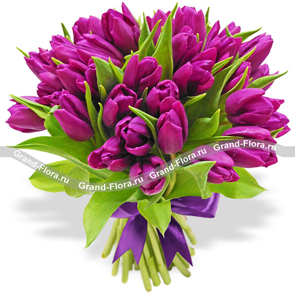 Серенада любимой - букет из фиолетовых тюльпанов