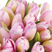 101 нежно-розовый тюльпан 2